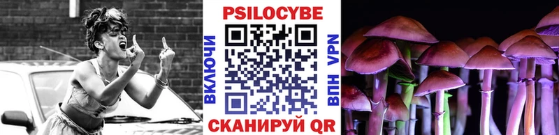 Купить  Клин  Псилоцибиновые грибы Magic Shrooms 