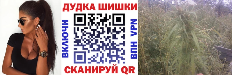 Шишки марихуана планчик  Купить закладки  Клин 